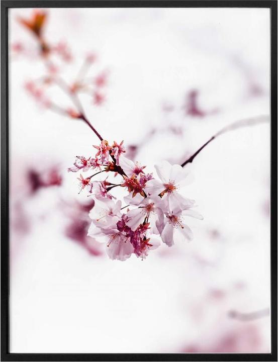 Produktbild Trenddeko Kirschblüte (24 x 30 cm)