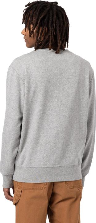 Immagine prodotto Dickies Mount Vista Crew (L)