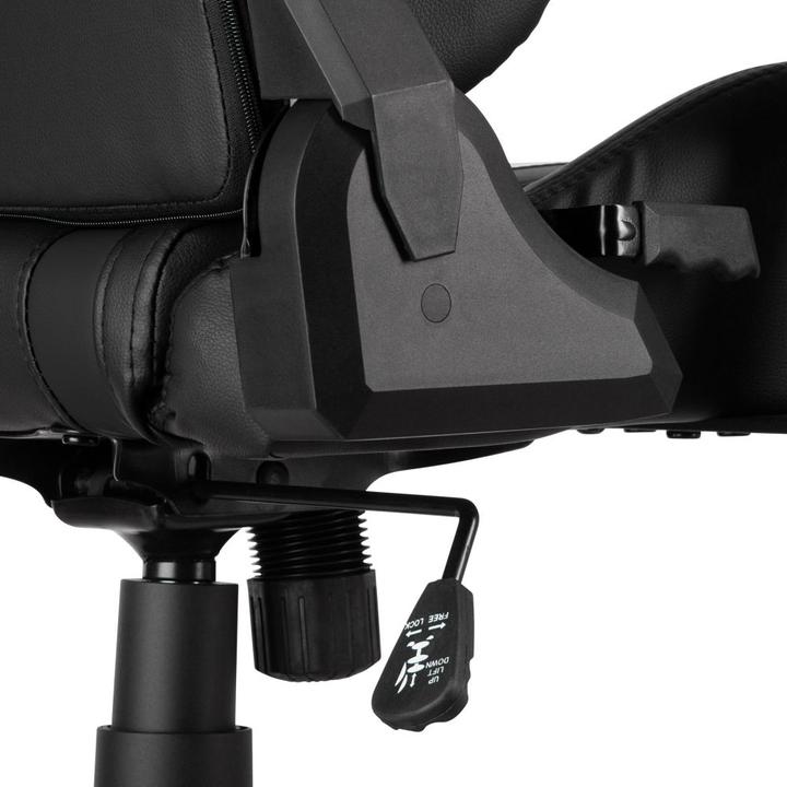 Image du produit tectake Premium Racing