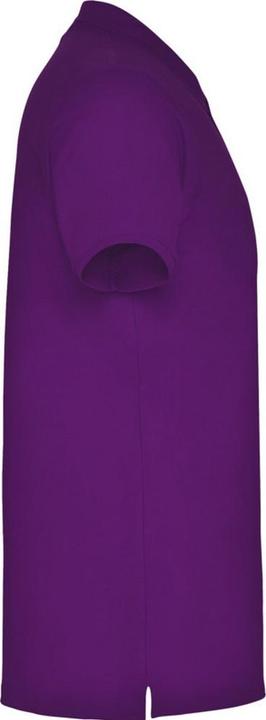 Immagine prodotto Alpinia Star Maglietta Polo Maniche Corte Uomo (XL)