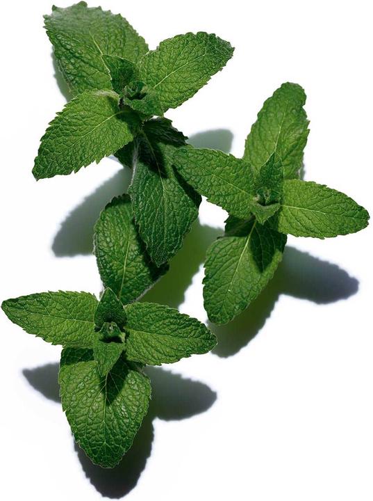 Immagine prodotto Clarins Olio per il trattamento del corpo tonico (Olio corpo, 100 ml)