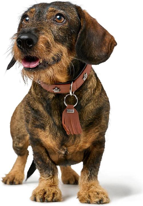 Produktbild Hunter Halsband München für Hunde 55 (Hund, Allgemein)