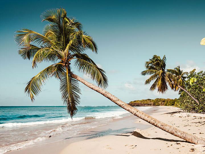 Produktbild Smartbox Urlaub in Florida: 4 Übernachtungen im 4*-Hotel in Miami mit Ausflügen (2 Pers.)