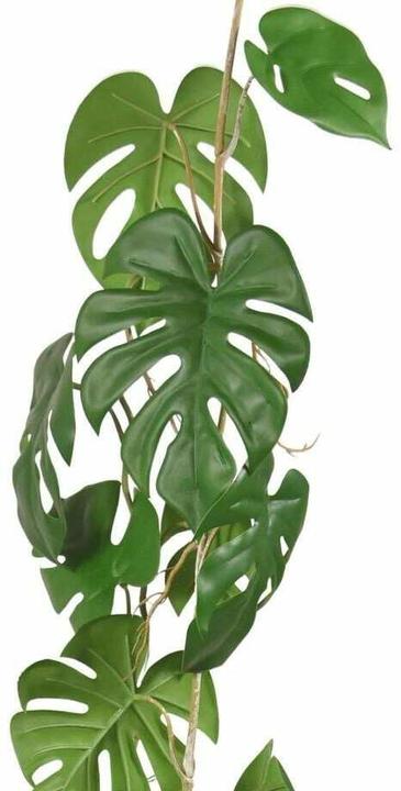 Produktbild Botanic-Haus Kunstpflanze Monstera 110 cm, Produkttyp: Schnittblumen (110 cm)