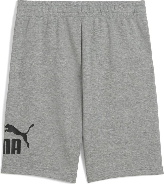 Actual product image Puma ESS No. 1 Logo Shorts TR B (140)