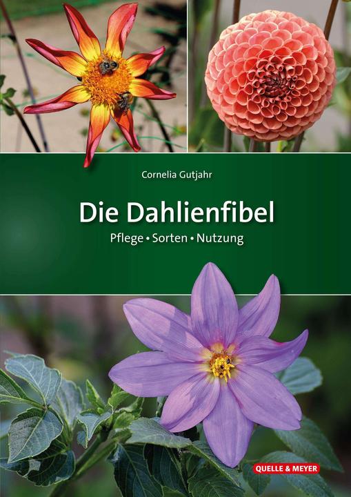 Produktbild Die Dahlienfibel (Deutsch, Cornelia Gutjahr, 2024)