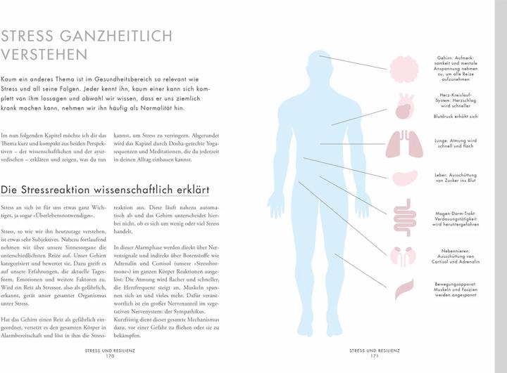Produktbild Ayurveda for Life (Deutsch, Janna Scharfenberg, 2019)