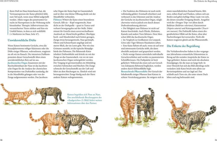 Produktbild Katzensprache (Deutsch, Gerd Ludwig, 2016)