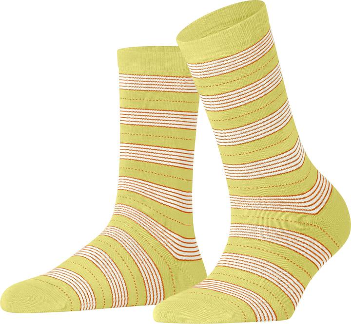 Falke Stripe Uniform SO
