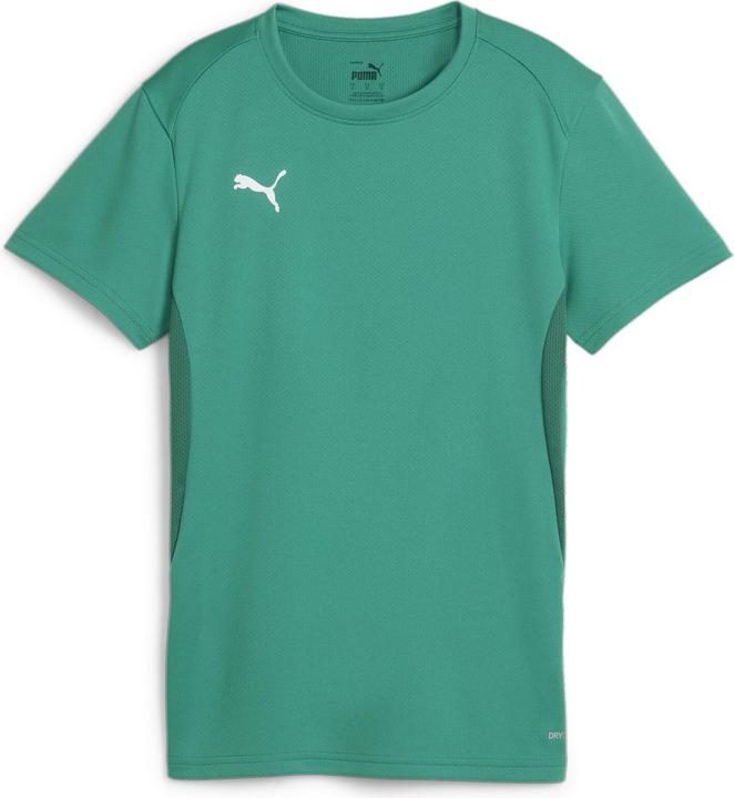 Puma teamGOAL Jersey Wmn