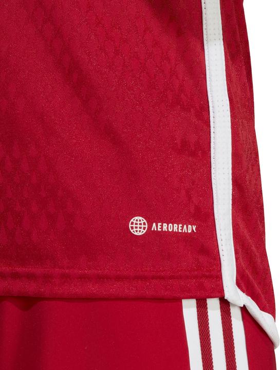 Image du produit adidas Maillot Tiro 23 Club Hommes (S)