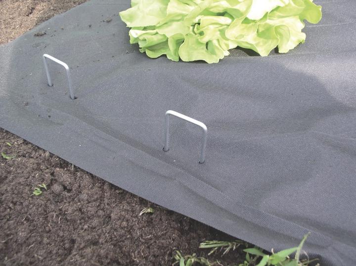 Actual product image Windhager Metal pegs