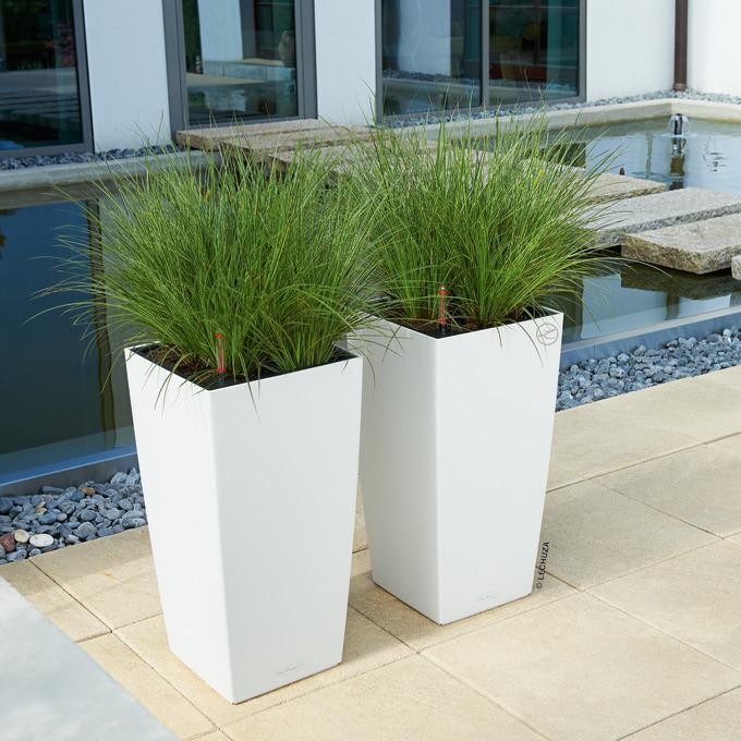 Actual product image Lechuza Cubico (22 cm)