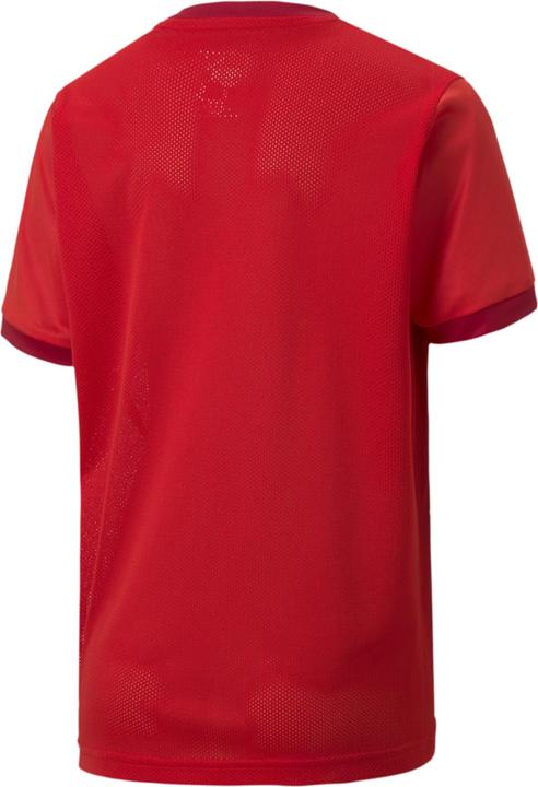 Immagine prodotto Puma Maglia teamGOAL 23 jr-704160 (128)