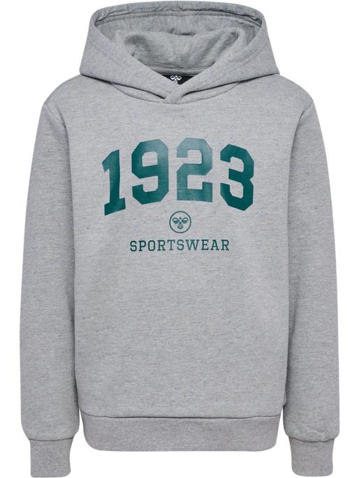 Actual product image hummel hmlNIPPS HOODIE (122)