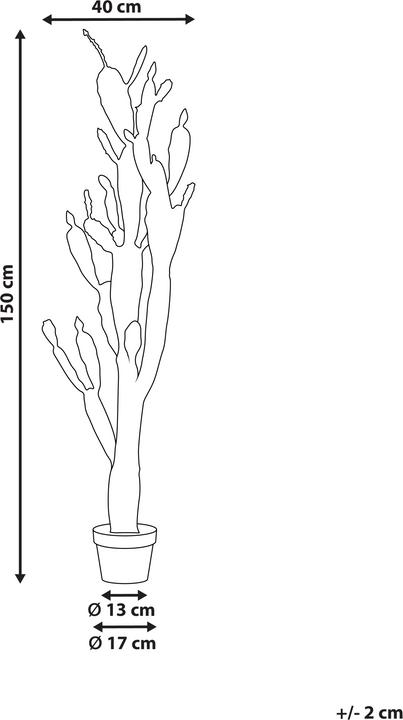Produktbild Beliani Opuntia Cactus (150 cm)
