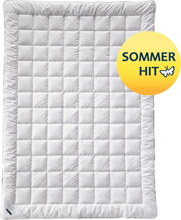 Produktbild Billerbeck Summer SILK Superlight - Seidendecke - 155 x 220 cm (100 g, 155 x 220 cm)