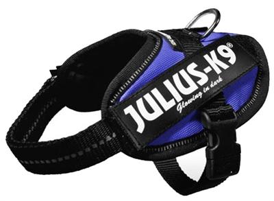 Image du produit Julius-K9 K9 Idc Powergesch Baby 2 Bleu (2, Chien, Sport canin)
