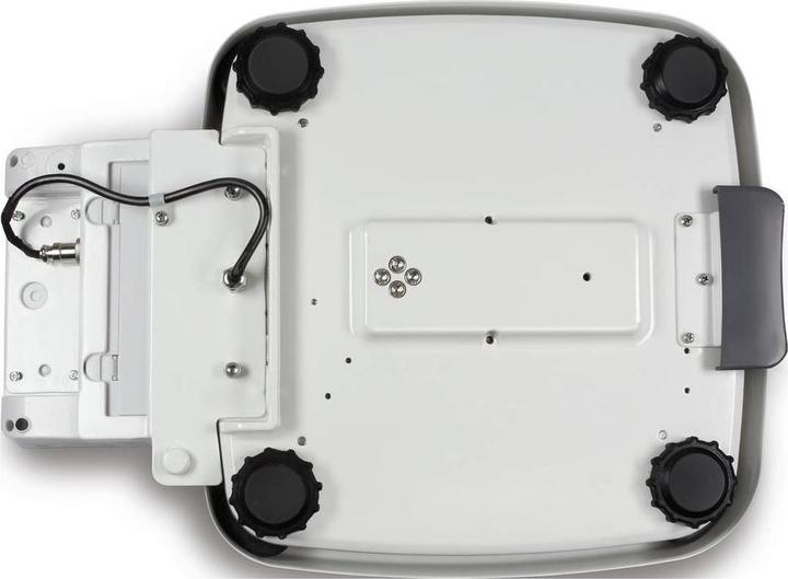 Immagine prodotto Kern Bilancia personale Max 250 kg e=0,1 kg d=0,1 kg (250 kg)