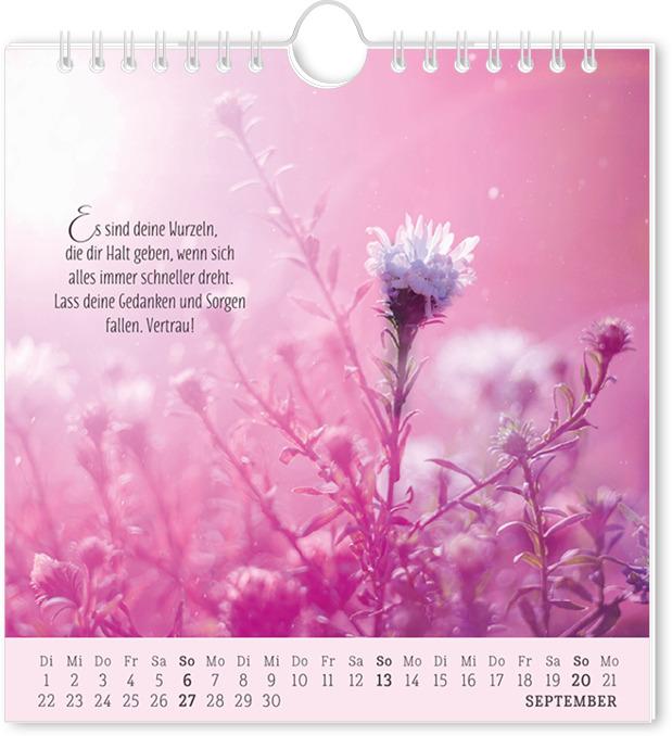 Actual product image Postkartenkalender 2026 Lebenszeichen (16 x 17 cm, German)