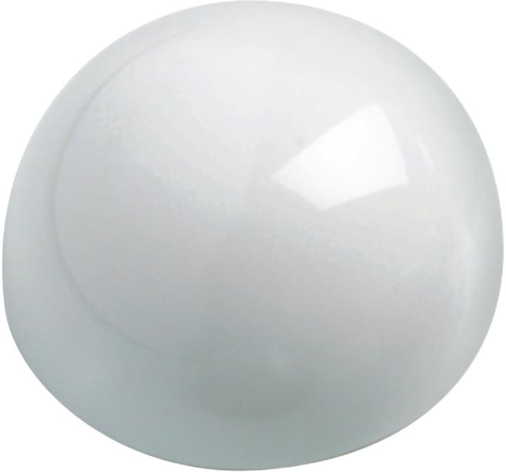 Image du produit Maul Aimant sphérique Ø 30 mm blanc (10 x)