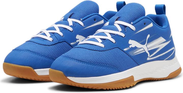 pumateamroyalpumawhitegum
