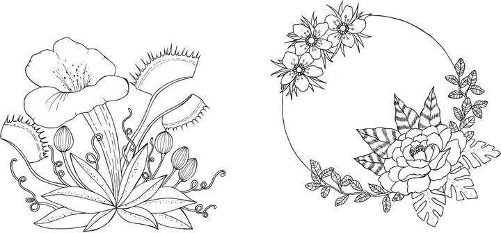 Produktbild Tropical Flowers – Exotische Blumen- und Pflanzen-Motive ausmalen