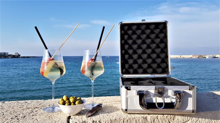 Produktbild Gabriel-Glas Travel Case StandArt (0.51 cl, 3 Gläser, Rotweingläser, Weissweingläser)