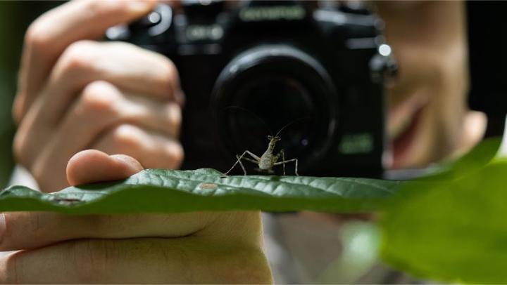 Image du produit Olympus OM-D E-M1 Mark III (20.40 Mpx, Micro Four Thirds)