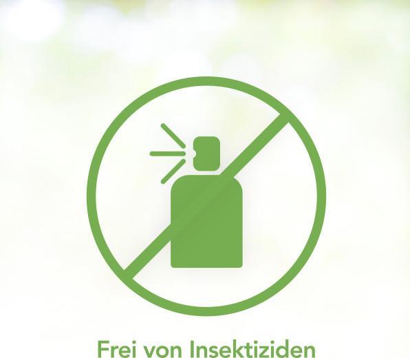 Actual product image Raid Essentials Cold Freeze Spray (Ants, Arachnids, Cockroaches)