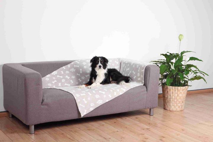 Produktbild Trixie Kenny (Hund)
