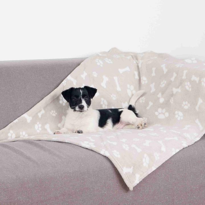 Produktbild Trixie Kenny (Hund)