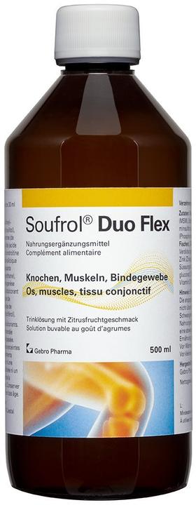 Soufrol Duo Flex Trink Lös (1 Stück, 600 g)