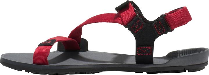 Actual product image Xero Shoes Z-Trail (34)