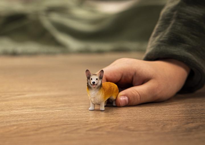 Immagine prodotto Schleich Welsh Corgi