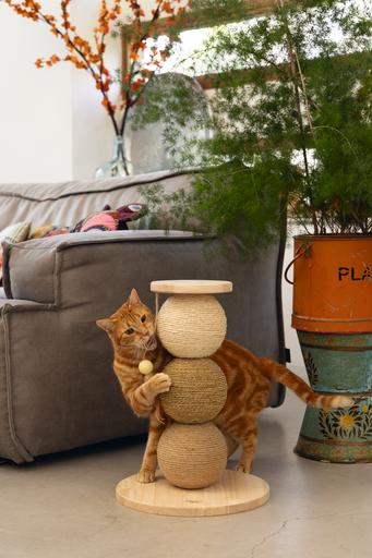Actual product image Designed by Lotte Elio (47.50 cm, Beige)