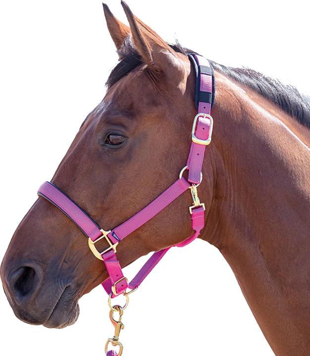 Immagine prodotto Shires Cavezza per cavalli in nylon Topazio
