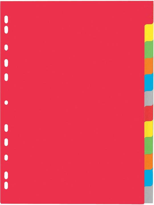 Actual product image Pagna Blank register