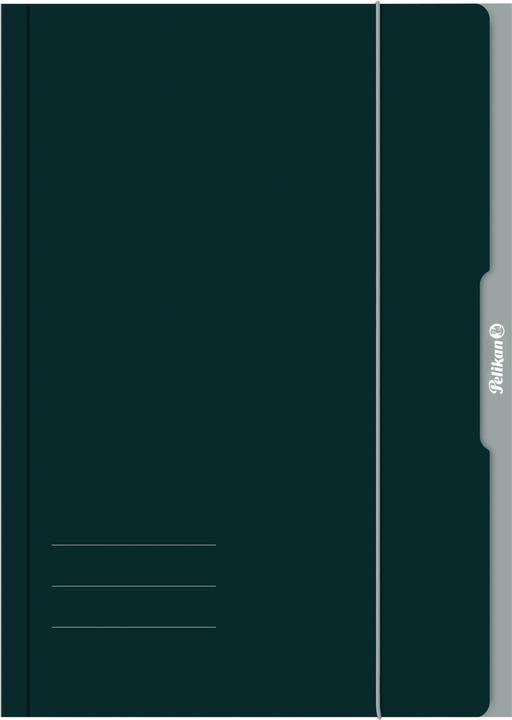 Produktbild Pelikan Sammelmappe, Zeichnungsmappe Sammelmappe A4 farbig sortiert FSC (A4, 1 x)