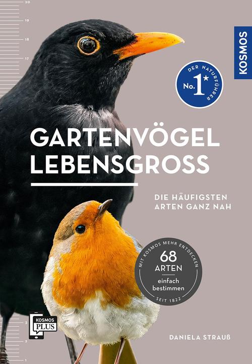 Produktbild Kosmos Gartenvögel lebensgross (Deutsch, Daniela Strauß, 2024)