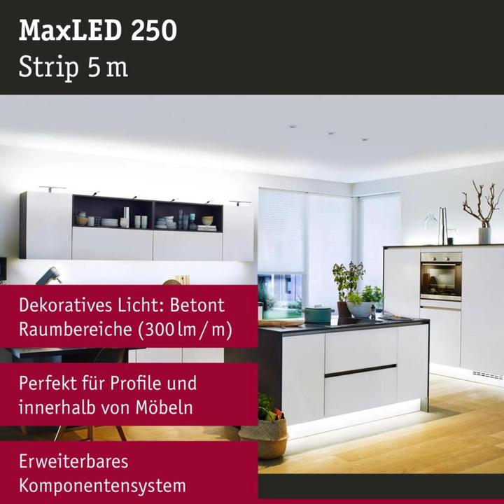 Actual product image Paulmann MaxLED 250 Stripe (Daylight, 500 cm, Indoor)