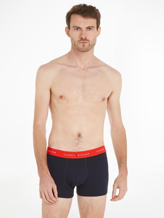 Actual product image Tommy Hilfiger WB Trunk (L, pack of 3)