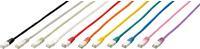 Produktbild equip Netzwerkkabel (S/FTP, CAT6, 0.25 m)