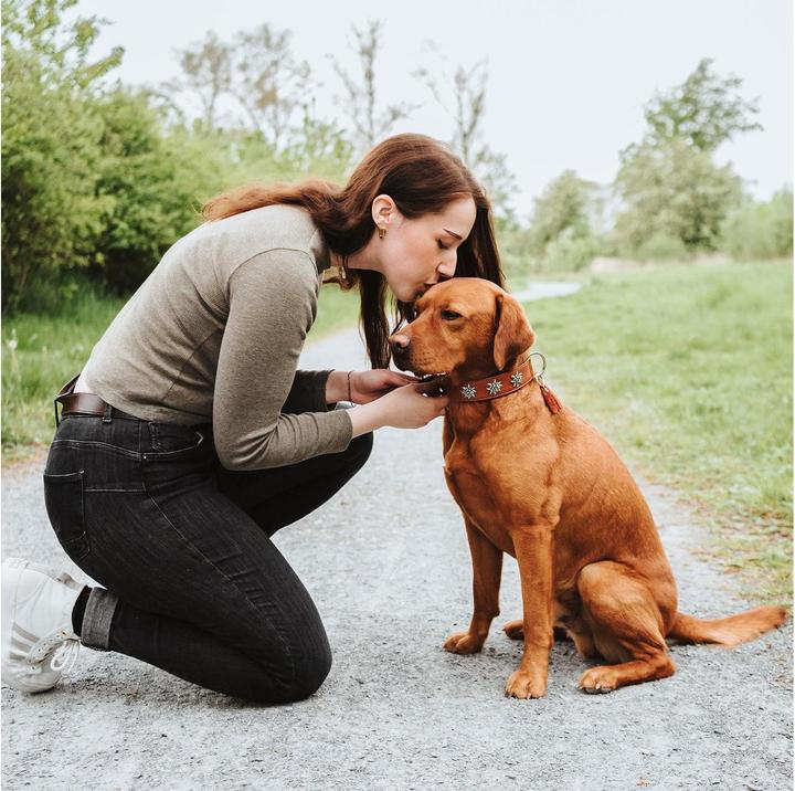 Produktbild Hunter Halsband München für Hunde 55 (Hund, Allgemein)