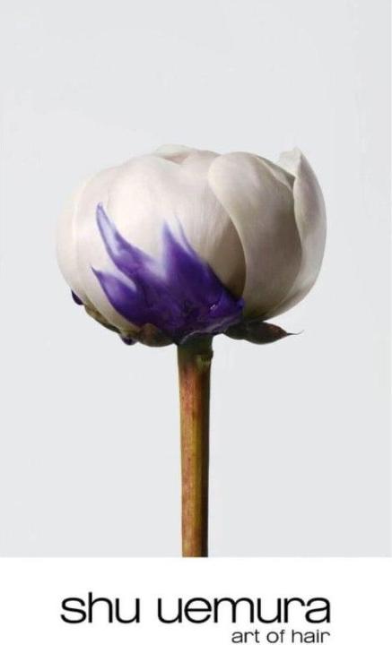 Actual product image Shu Uemura yūbi blonde anti-yellowish Purple Shampoo (300 ml, Liquid shampoo)