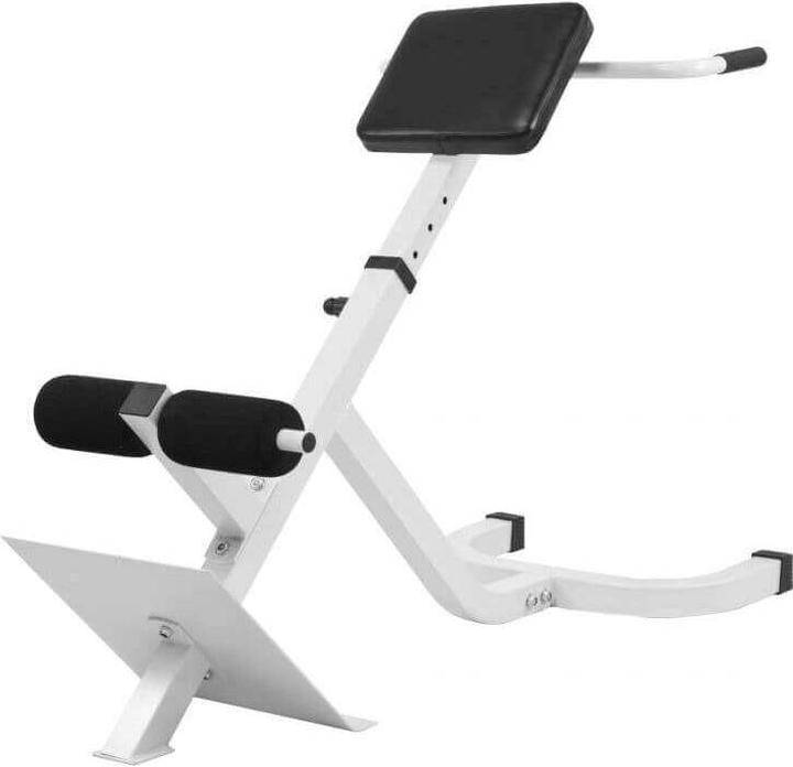 Gorilla Sports Extenseur dorsal