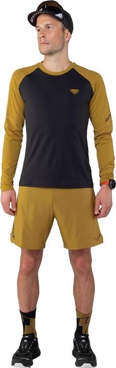 Actual product image Dynafit Alpine Pro L/S Tee (M)