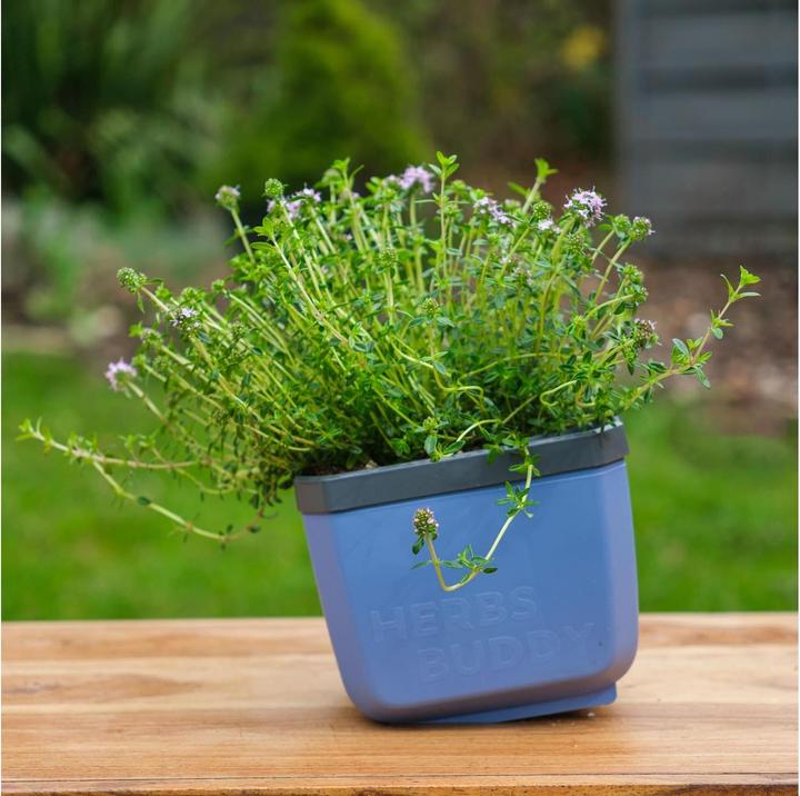 Productafbeelding Gusta Garden Kruiden Buddy kruidenpot (50 cm)