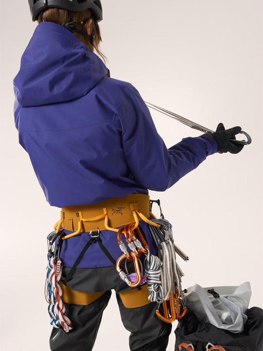 Immagine prodotto Arc'teryx Alpha SV (M)