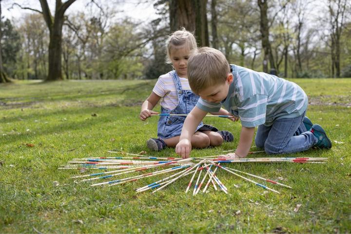 Produktbild Eichhorn Outdoor Mikado XL (Deutsch, Französisch, Italienisch, Englisch)